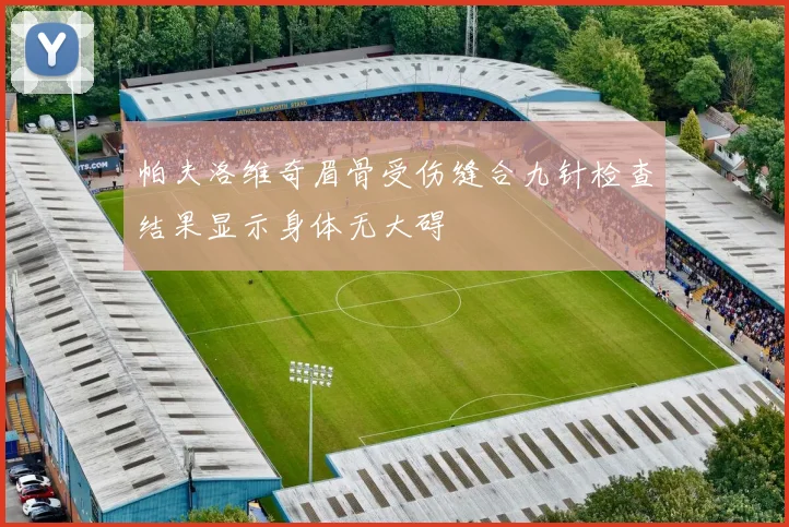 帕夫洛维奇眉骨受伤缝合九针检查结果显示身体无大碍